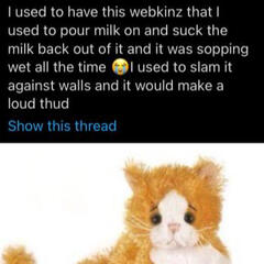i used to have this webkinz that i used to pour milk on and suck the milk back out of it and it was sopping wet all the time 😭I usd to slam it against walls and it would make a loud thud. picture of said webkinz cat.