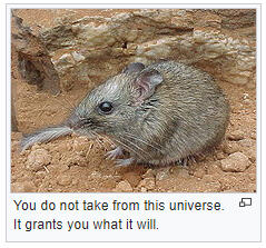 "You do not take from this universe it grants you what it will"